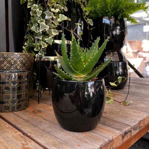 Alternative view of Vas ceramic rotund negru lucios (Ø 11 cm / H 9 cm)