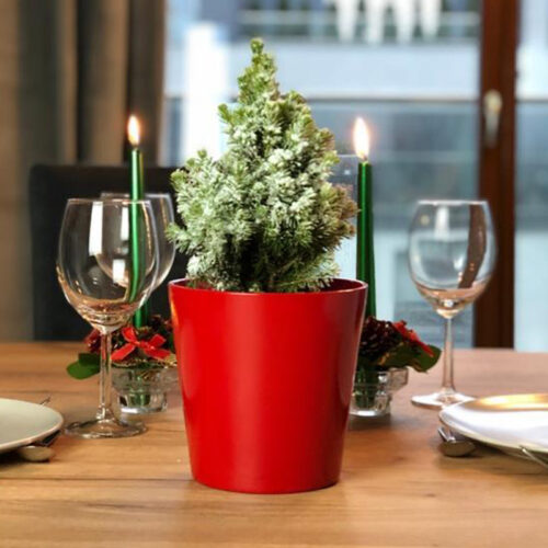 Vas Ceramica Decorativ Rosu Pentru Plante Flori Craciun