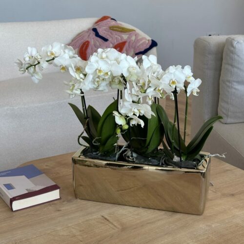 Vas ceramic auriu dreptunghiular pentru orhidee