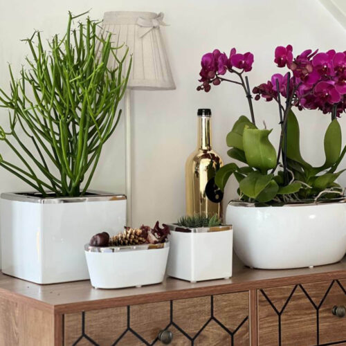 Ghiveci Ceramic Oval Polnix Moon Alb Argintiu