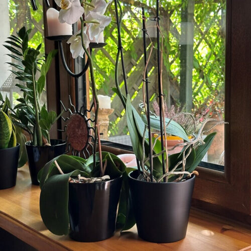 Alternative view of Vas Orhidee Ceramic Basic (Negru Mat, Ø 17 cm / H 15 cm)