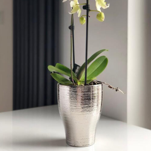 Vas Ceramic Pentru Orhidee Moon Argintiu (Ø14 cm H18 cm)