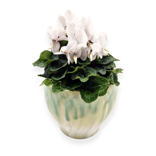 Vas Ceramic Verde Turcoaz Ghiveci Plante