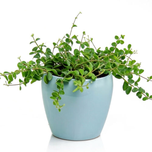 Alternative view of Vas Ceramic Polnix Barcelona Albastru (Ø15 cm / H14 cm)