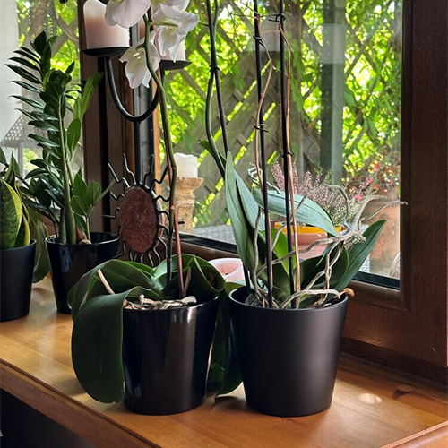 Vas Orhidee Ceramic Basic Negru Ghiveci Pentru Orhidee