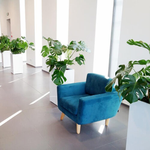 Vas ghiveci inalt alb modern pentru flori interior exterior birou casa terasa