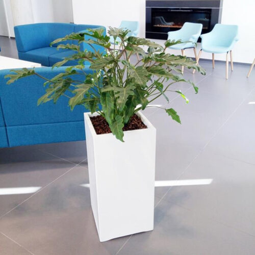 Vas ghiveci inalt pentru flori interior exterior birou casa terasa