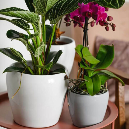 Vase Ceramice Modern Polnix Barcelona Gri (H14 cm)