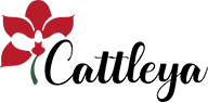 Cattleya Depozit