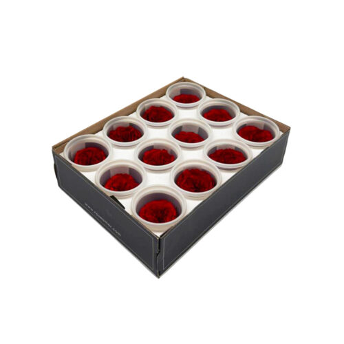 Cutie 12 Trandafiri Criogenati Amelia Mixt Rosu