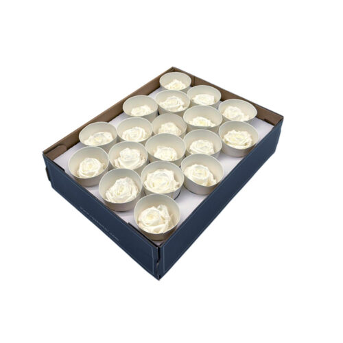 Cutie 18 Trandafiri Criogenati XS Mixed Alb