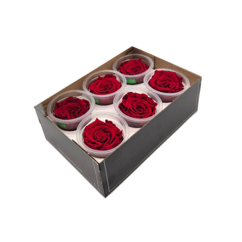 Cutie 6 Trandafiri Criogenati L Mixed Rosu