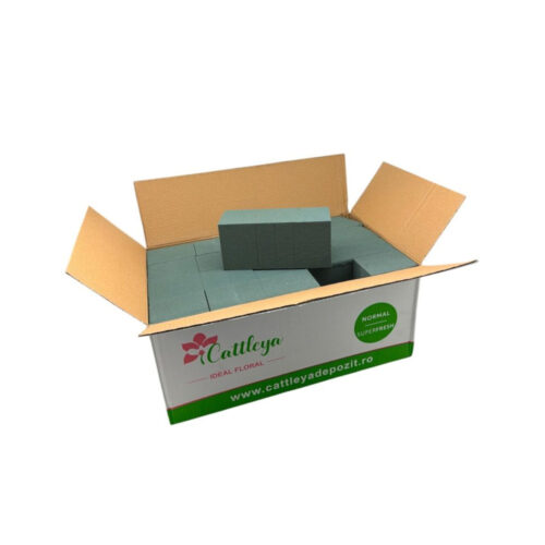 Burete Floral Uscat Dreptunghiular Cutie 20 bucati 23 × 11 × 8 cm