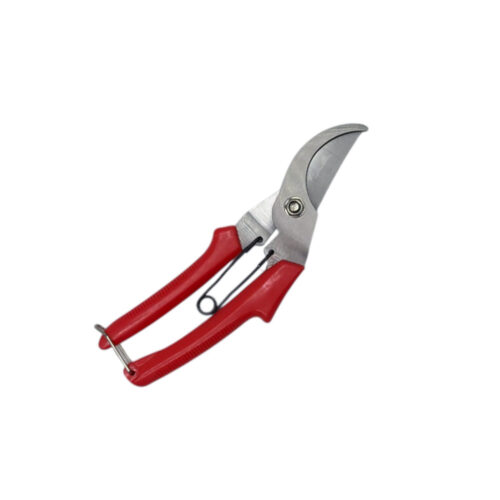 Cleste pentru flori rosu QUE42