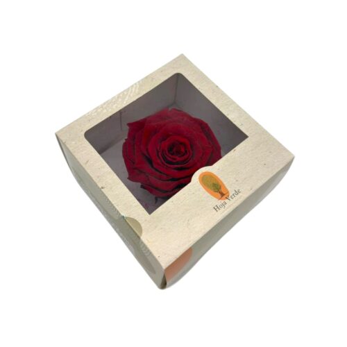 Cutie trandafir criogenat 8 cm (1)