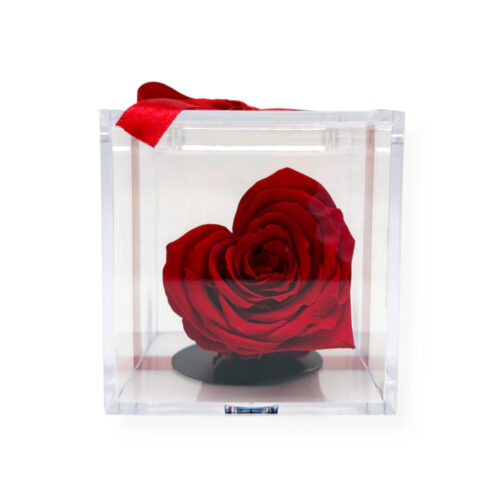 Trandafir criogenat corazon rosu in forma de inima