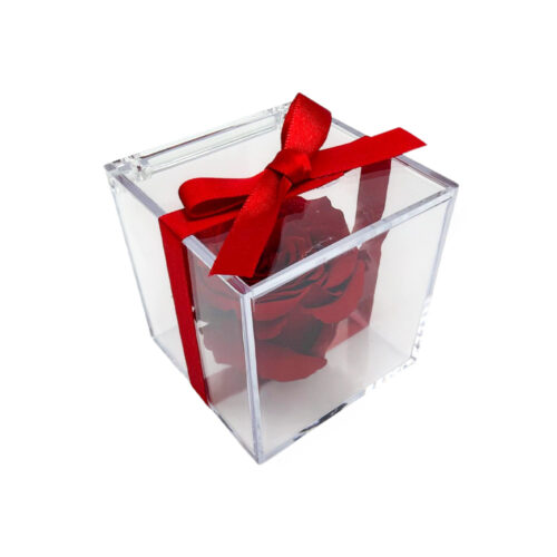 Alternative view of Trandafir Criogenat Rosu in Cutie Cadou Acrilica 8×8 cm