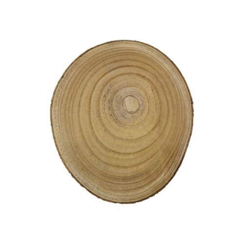 Felii de lemn rotunde naturale, Ø 30 cm / 25 cm / 20 cm / 18 cm