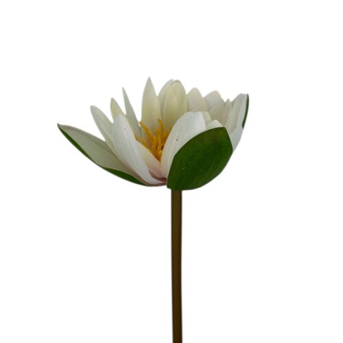 Floare Artificiala Nufar 60 cm