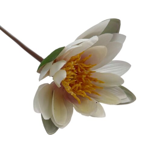 Alternative view of Floare Artificiala Nufar 60 cm