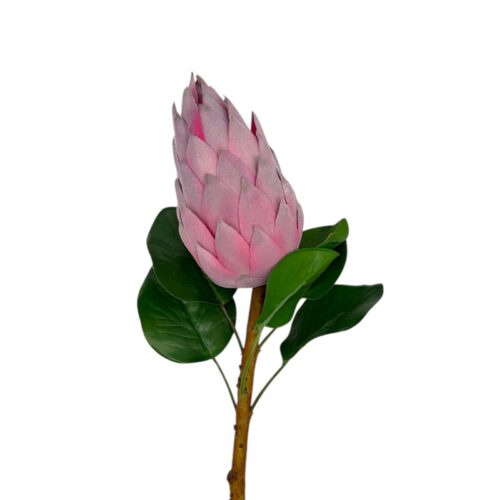 Alternative view of Floare Artificiala Protea 70 cm