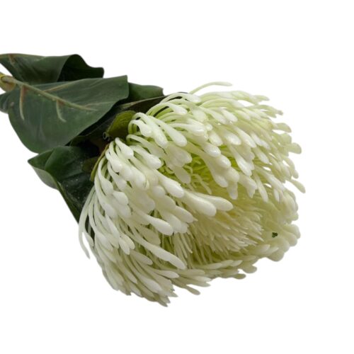 Alternative view of Floare Artificiala Protea Alba 70 cm
