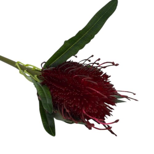 Alternative view of Floare Artificiala Protea Banksia 60 cm