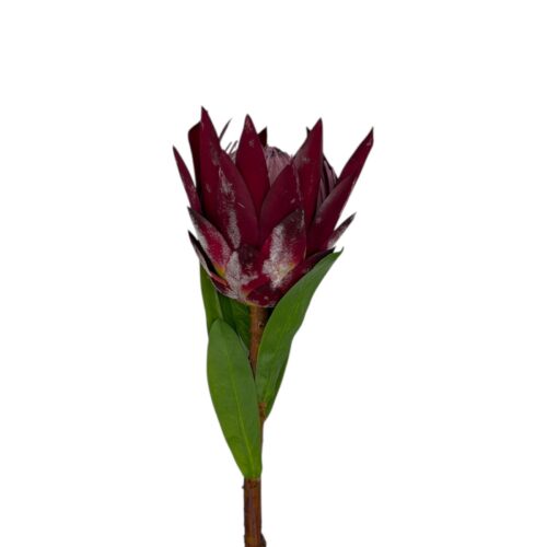 Floare Artificiala Protea Cynoroides 70 cm