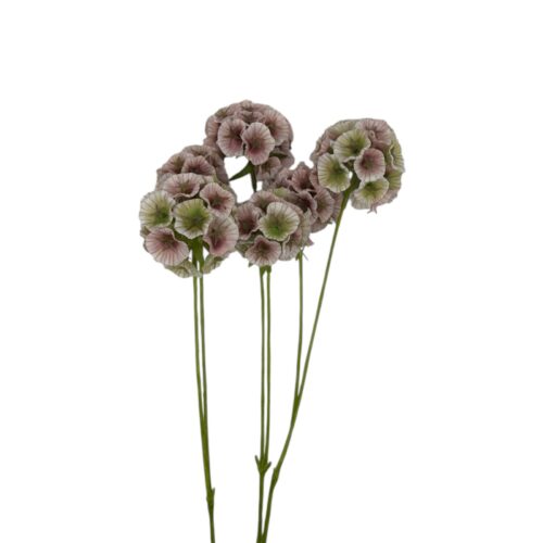 Floare Artificiala Scabiosa 65 cm
