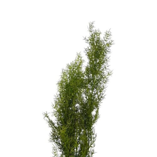 Planta Artificiala Tillandsia Long Hair 80 cm