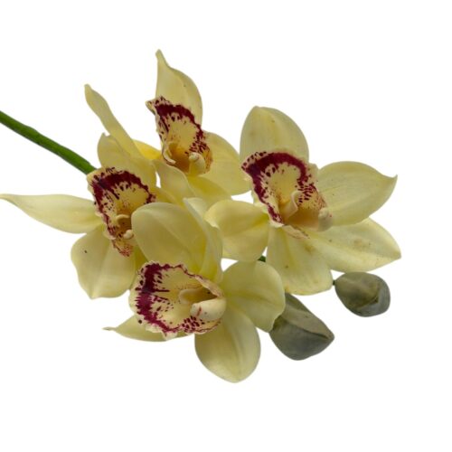 Alternative view of Orhidee artificiala Cymbidium 80 cm (Tija 4 flori)