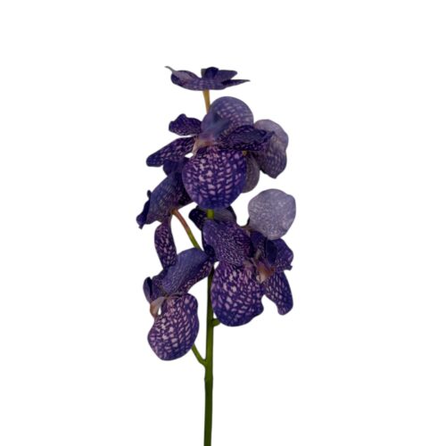 Tija Orhidee Vanda Artificiala 60 cm