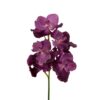 Tija Vanda Artificiala 60 cm